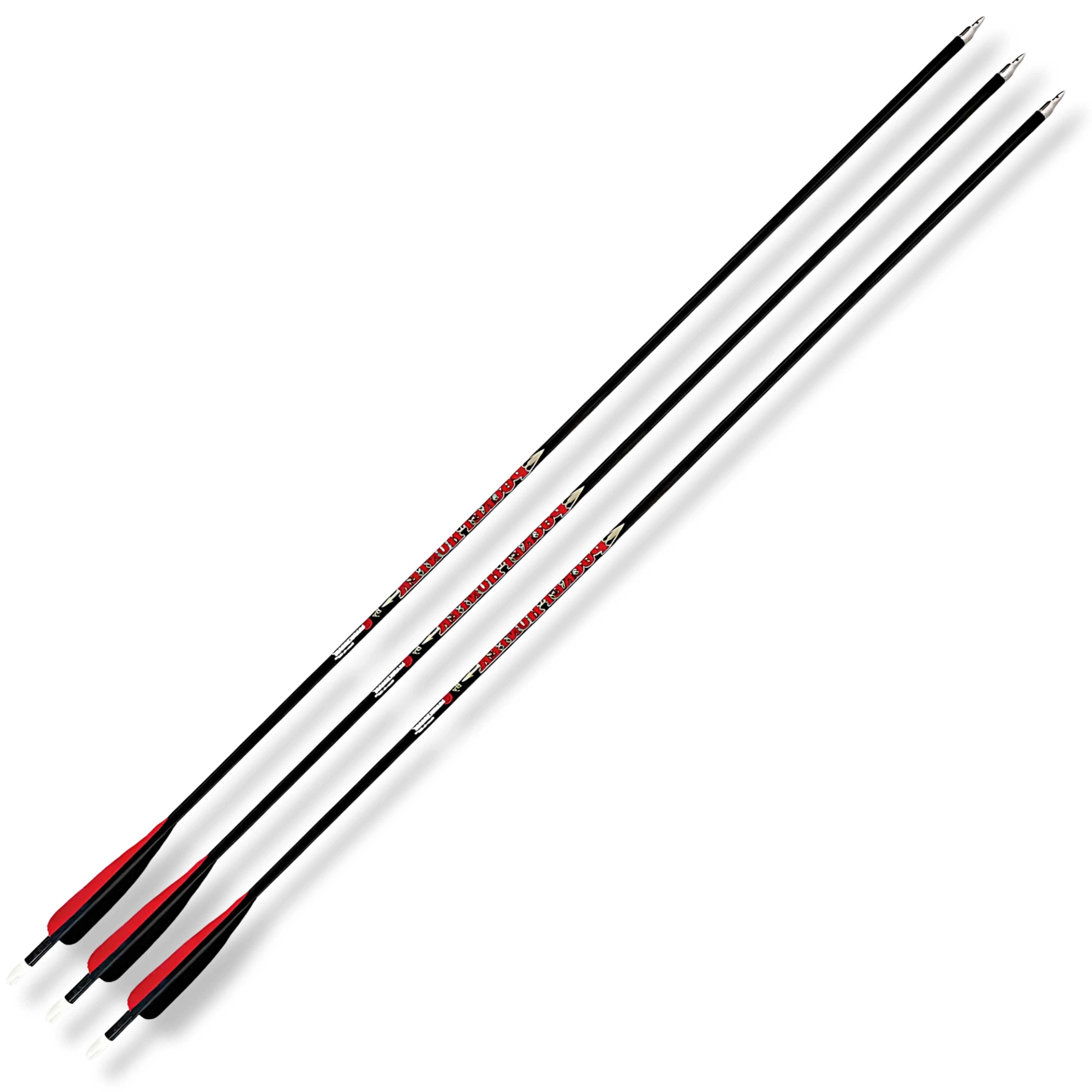 Premum Carbon Arrow Three Arrows Hunting Kit with carbon shafts.