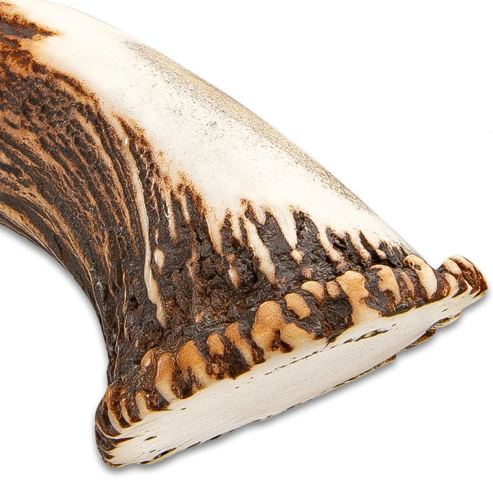 Timber Wolf King Stag Crown Knife
